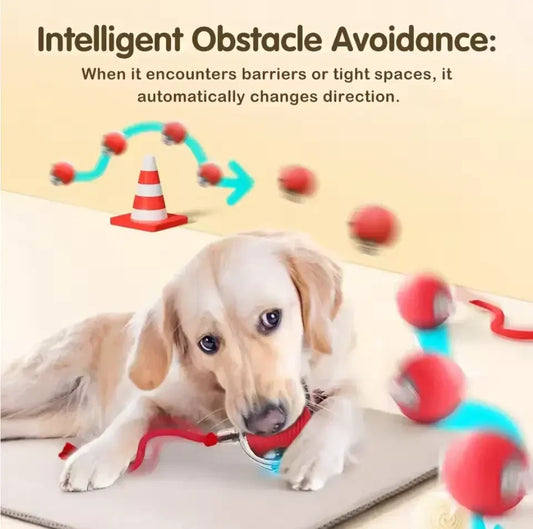 Automatic Rolling Cat Ball - Rechargeable