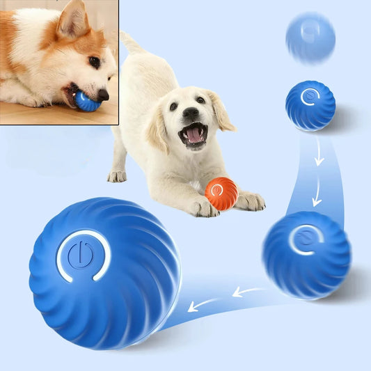 Automatic Moving Dog Ball - USB Smart Toy