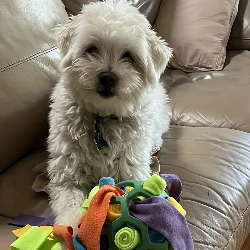 Pet Sniffing Ball - Interactive Puzzle Toy