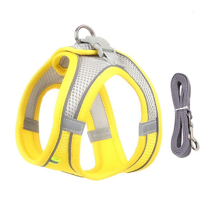 Small Dog Harness & Leash Set - Adjustable Vest