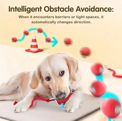 Automatic Rolling Cat Ball - Rechargeable