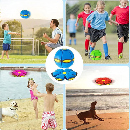 Magic Flying Saucer Ball - Bouncing Pet Toy