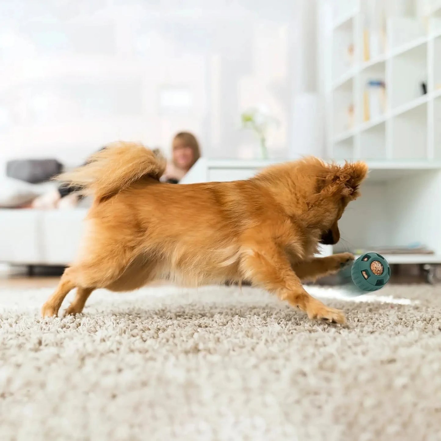 Funnel Treat Toy - Fillable Chew Toy