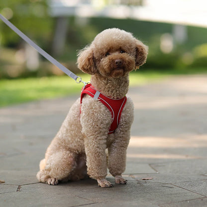 Small Dog Harness & Leash Set - Adjustable Vest