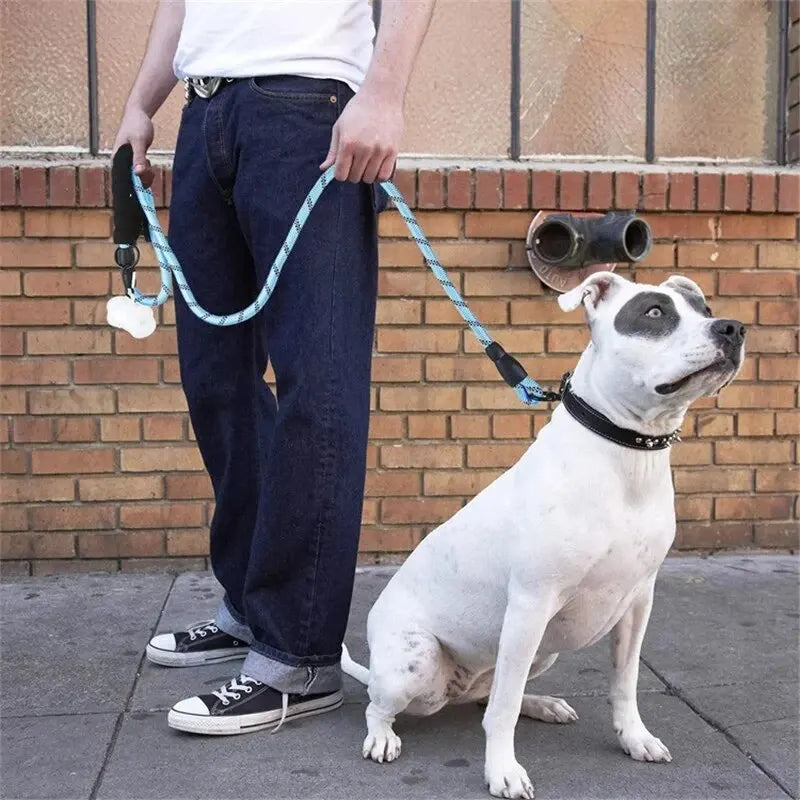 Reflective Dog Leash - Padded Handle Heavy Duty