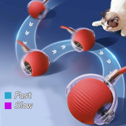 Automatic Rolling Cat Ball - Rechargeable