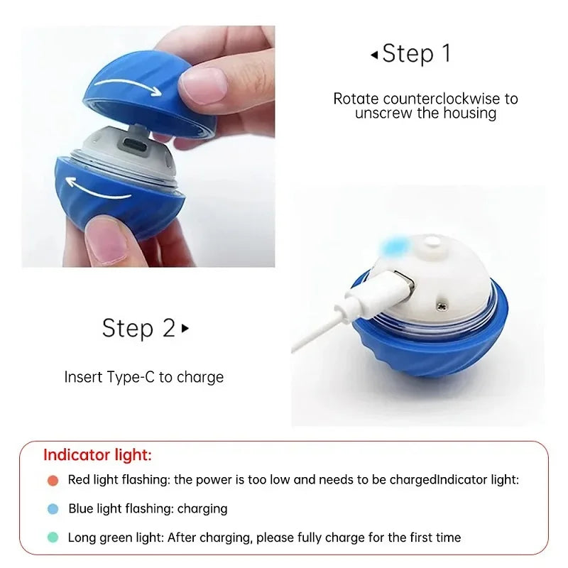 Automatic Moving Dog Ball - USB Smart Toy