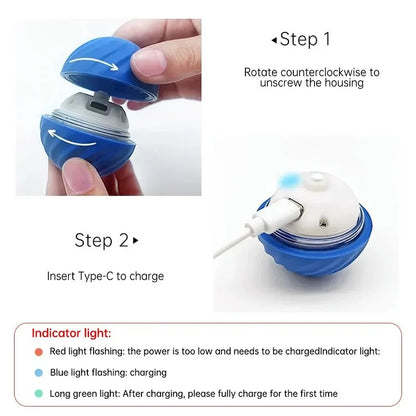 Automatic Moving Dog Ball - USB Smart Toy