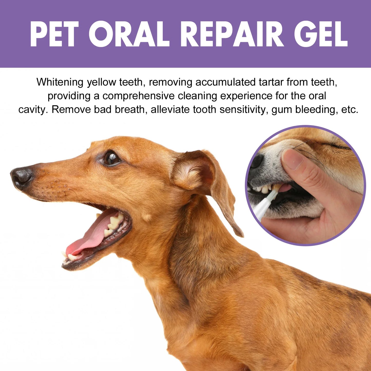 Pet Oral Repair Gel - Teeth Cleaning & Whitening