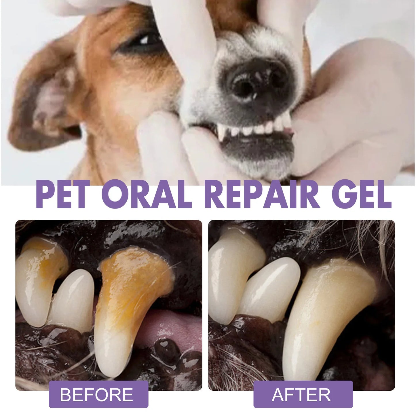 Pet Oral Repair Gel - Teeth Cleaning & Whitening