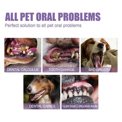 Pet Oral Repair Gel - Teeth Cleaning & Whitening