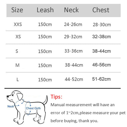 Small Dog Harness & Leash Set - Adjustable Vest