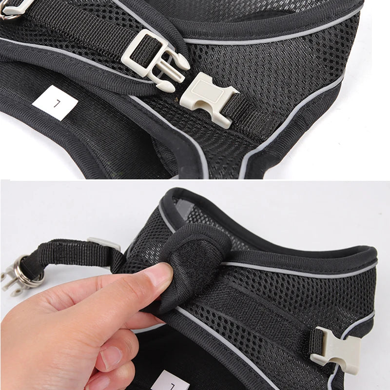 Small Dog Harness & Leash Set - Adjustable Vest