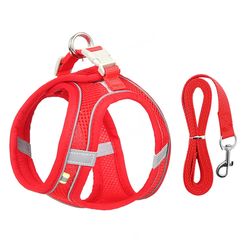 Small Dog Harness & Leash Set - Adjustable Vest