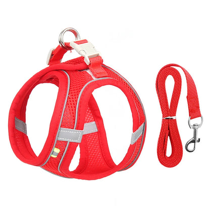 Small Dog Harness & Leash Set - Adjustable Vest