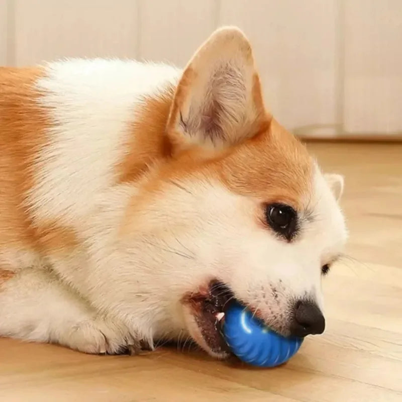 Automatic Moving Dog Ball - USB Smart Toy