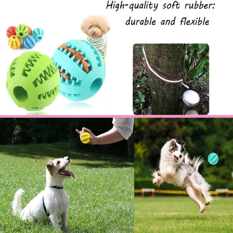 Interactive Dog Toy Ball - Treat Dispenser