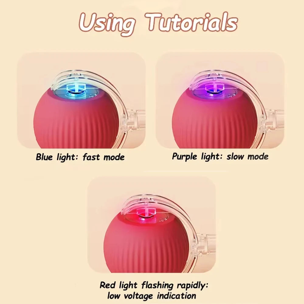 Automatic Rolling Cat Ball - Rechargeable