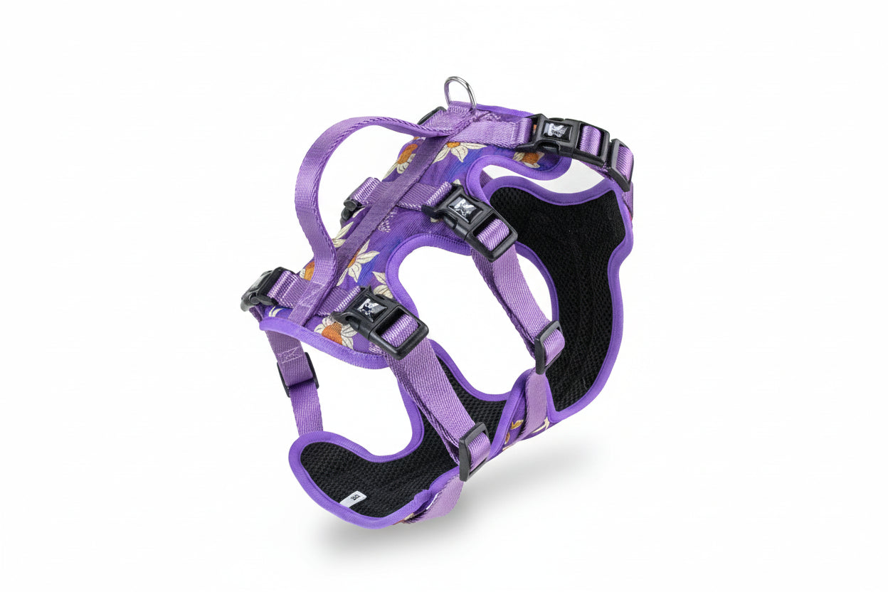 Adjustable Printed Pet Harness - Non-Slip Vest