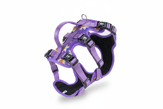 Adjustable Printed Pet Harness - Non-Slip Vest