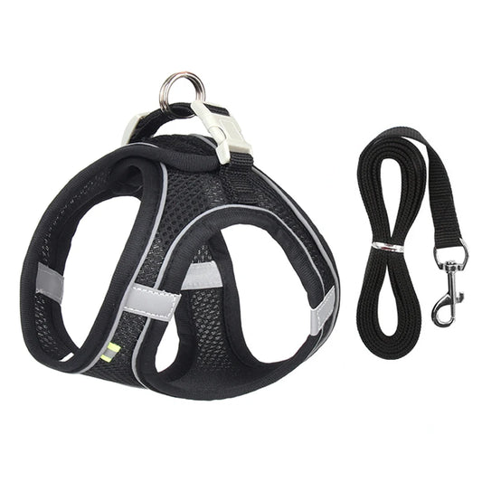 Small Dog Harness & Leash Set - Adjustable Vest