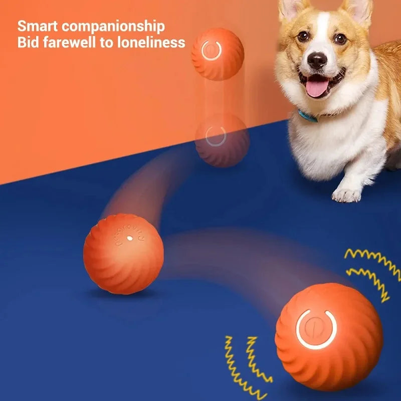 Automatic Moving Dog Ball - USB Smart Toy