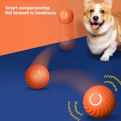 Automatic Moving Dog Ball - USB Smart Toy