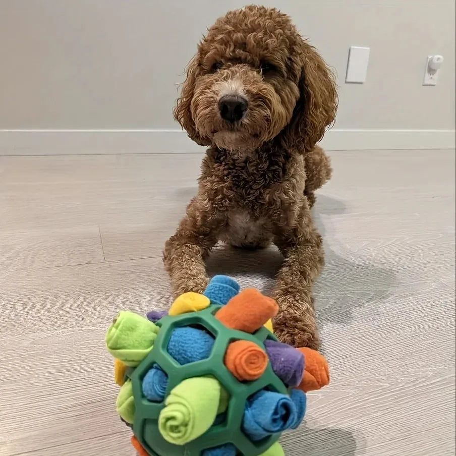 Pet Sniffing Ball - Interactive Puzzle Toy