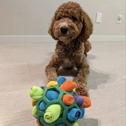 Pet Sniffing Ball - Interactive Puzzle Toy