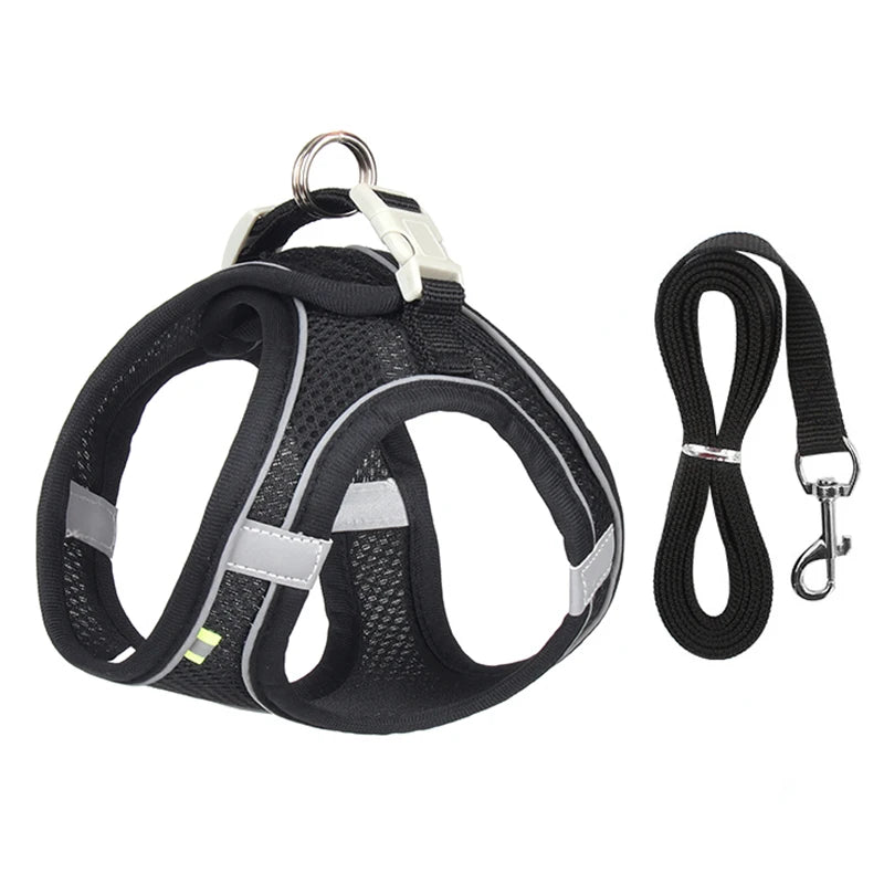 Small Dog Harness & Leash Set - Adjustable Vest