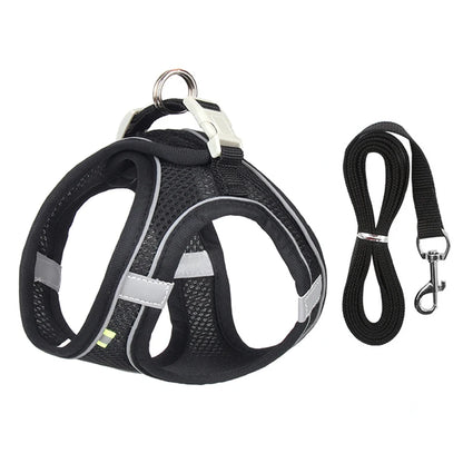 Small Dog Harness & Leash Set - Adjustable Vest