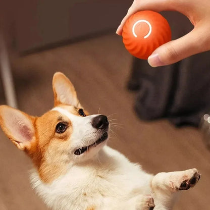 Automatic Moving Dog Ball - USB Smart Toy