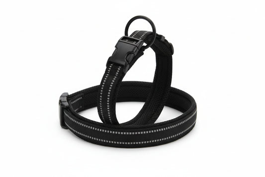 Adjustable Mesh Padded Dog Collar - 3M Reflective