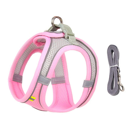 Small Dog Harness & Leash Set - Adjustable Vest