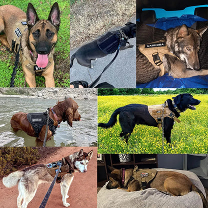 Militärisches großes Hundegeschirr - Trainingsweste