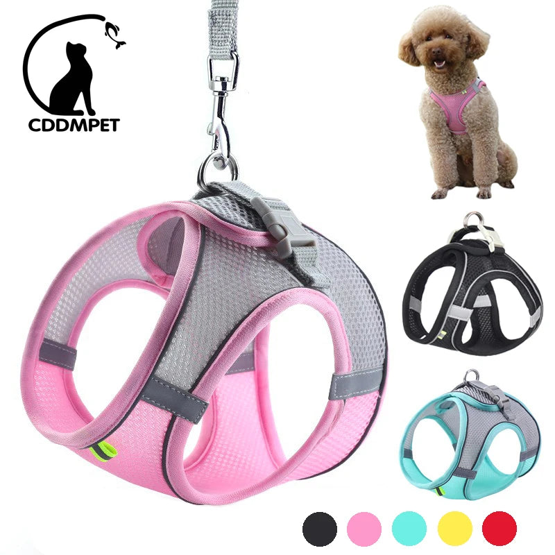Small Dog Harness & Leash Set - Adjustable Vest