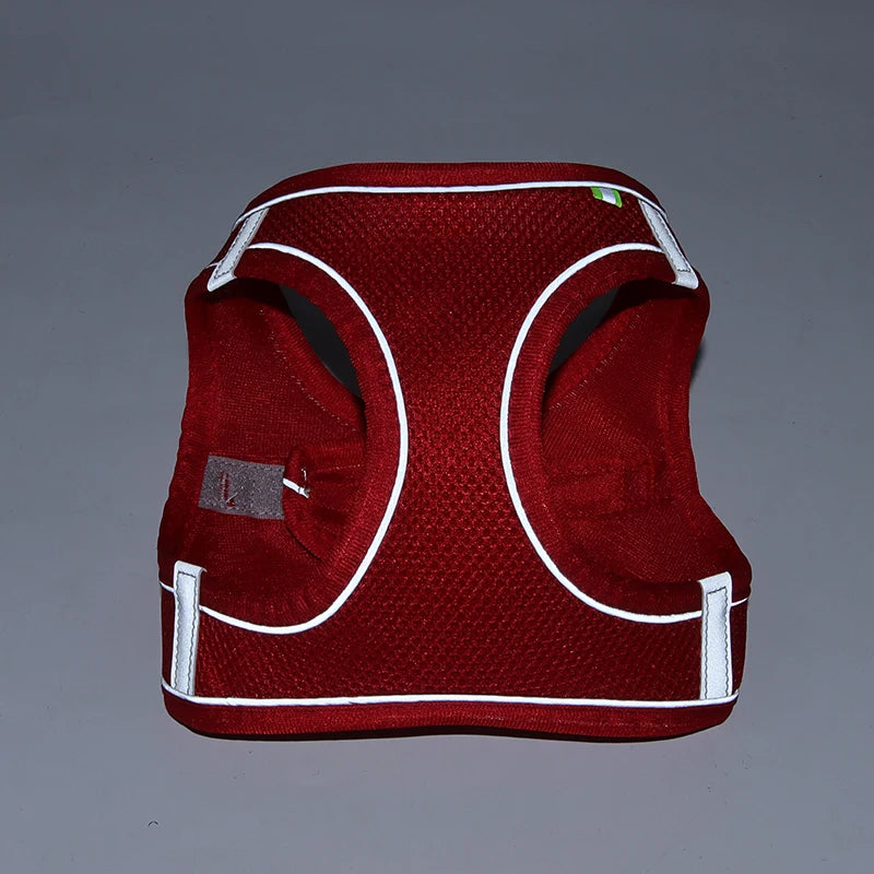 Small Dog Harness & Leash Set - Adjustable Vest