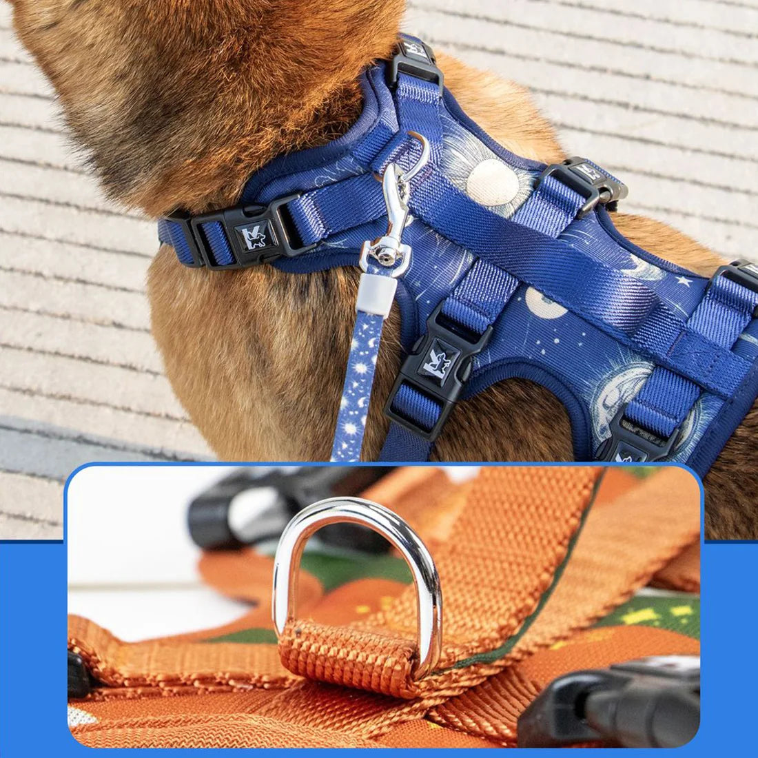 Adjustable Printed Pet Harness - Non-Slip Vest