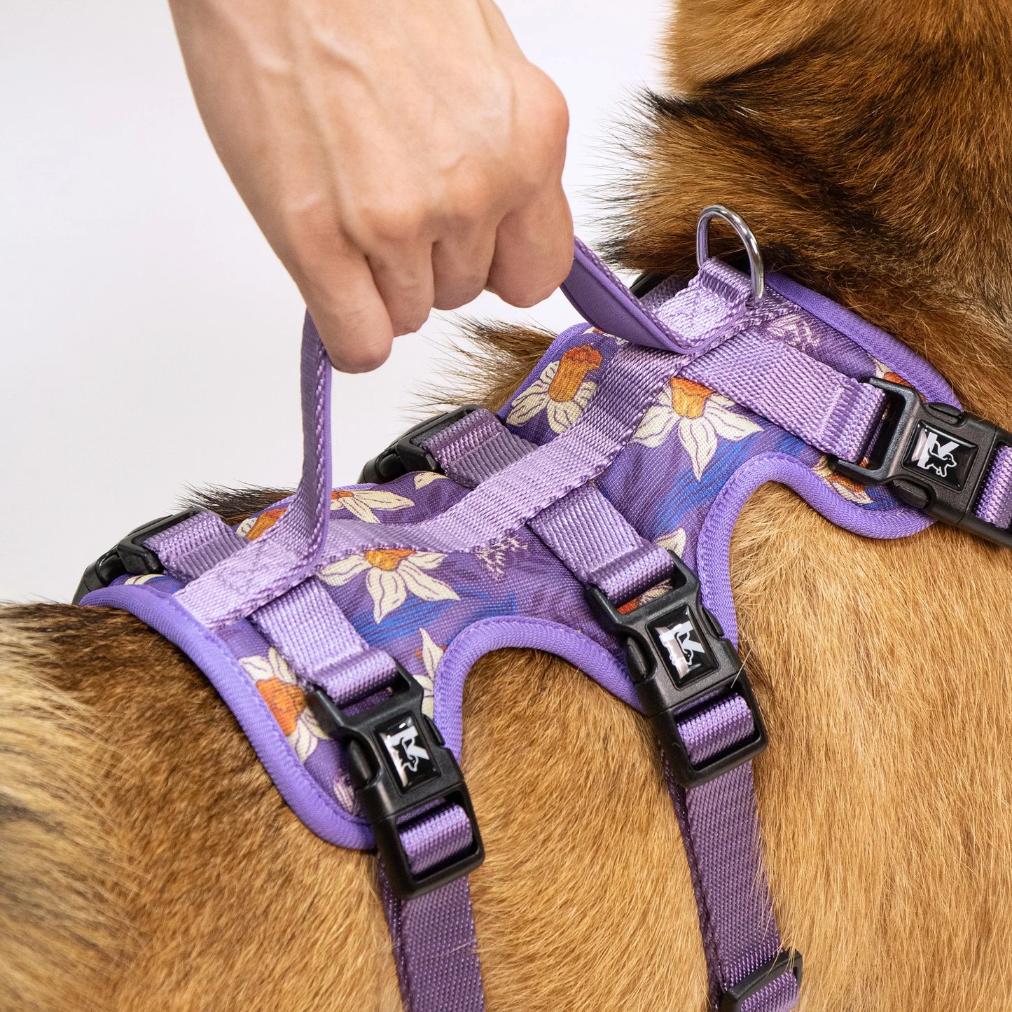 Adjustable Printed Pet Harness - Non-Slip Vest