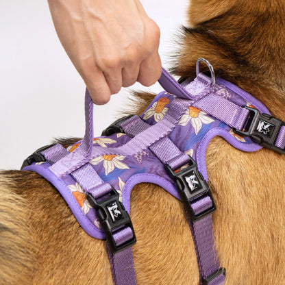 Adjustable Printed Pet Harness - Non-Slip Vest